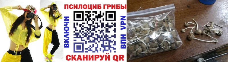 Псилоцибиновые грибы GOLDEN TEACHER  Фёдоровский 